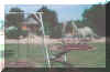 Dino Park.jpg (95831 bytes)