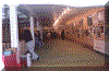 wpe07036.gif (114034 bytes)