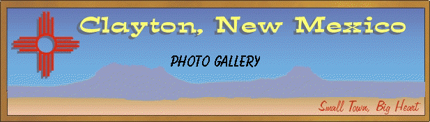Photo Gallery