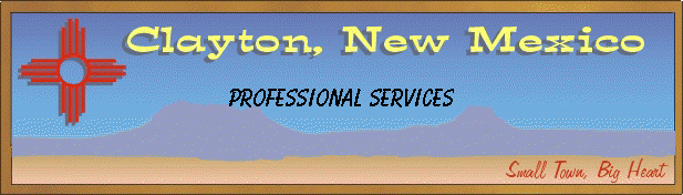 Professional Services